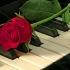 Piano - CC014